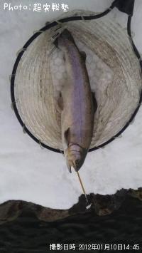 ¥ì¥¤¥ó¥Ü¡¼¥È¥é¥¦¥È