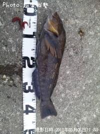 �����ʥ�