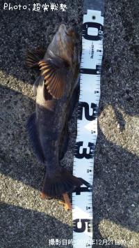 �����ʥ�