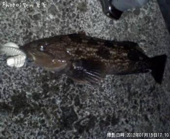 �����ʥ�