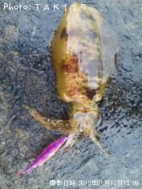 �����ꥤ��