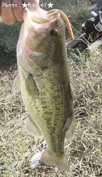 �֥�å��Х�