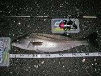 �����Х�