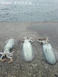 �����ꥤ��