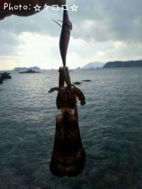 �����ꥤ��