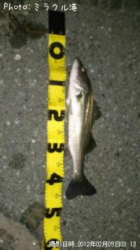 �����Х�