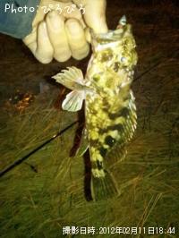 ¥¿¥±¥Î¥³¥á¥Ð¥ë