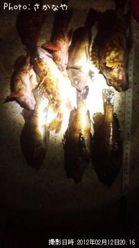 ¥á¥Ð¥ë¡¡¥¬¥·¥é