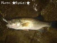 ¥Ö¥é¥Ã¥¯¥Ð¥¹