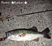 �֥�å��Х�