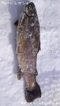 ¥í¥Ã¥¯¥È¥é¥¦¥È