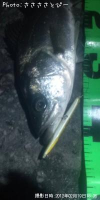 �����Х�