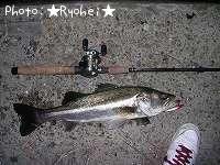 �����Х�