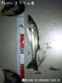 �����Х�