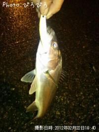 �����Х�