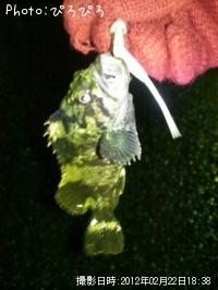 �����Х�