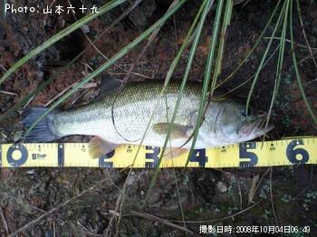 �֥�å��Х�