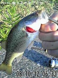 ¥Ö¥é¥Ã¥¯¥Ð¥¹