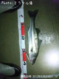 �����Х�