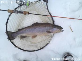 ¥í¥Ã¥¯¥È¥é¥¦¥È