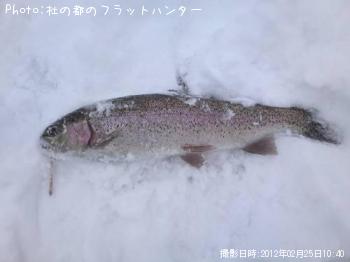 ���å��ȥ饦��