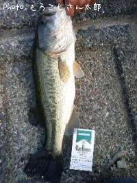 �֥�å��Х�