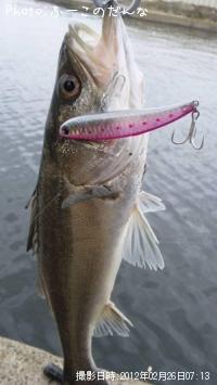 �����Х�