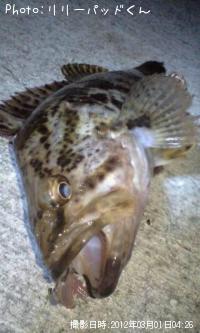 �ݤλ�²�����幨��ϯ