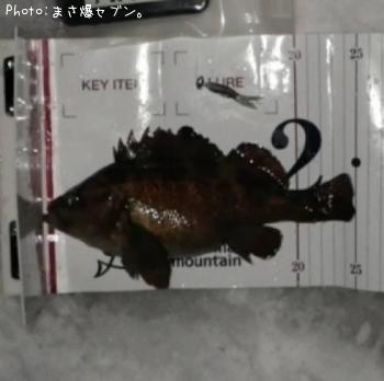 ������Х�