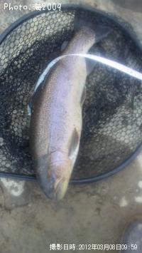 ���å��ȥ饦��