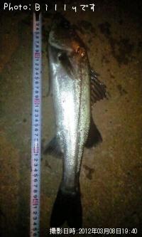 �����Х�