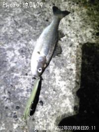 �����Х�