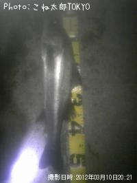 �����Х�