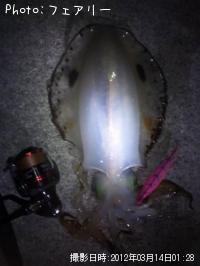 �����ꥤ��