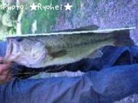 �֥�å��Х�