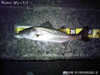 �����Х�