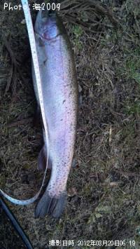 ¥ì¥¤¥ó¥Ü¡¼¥È¥é¥¦¥È