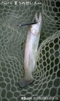 �쥤��ܡ��ȥ饦��