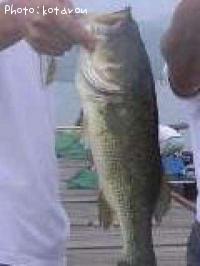 ¥Ö¥é¥Ã¥¯¥Ð¥¹