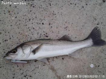 �����Х�