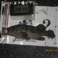 ���ޥ���