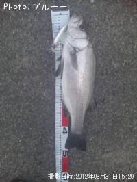 �ҥ饹����