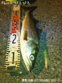 �����Х�