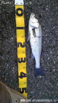 �����Х�