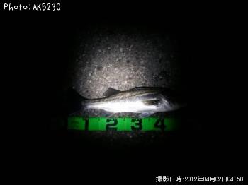 �����Х�