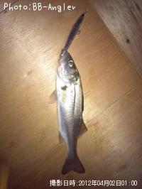 �����Х�