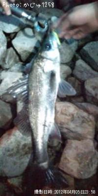 �����Х�