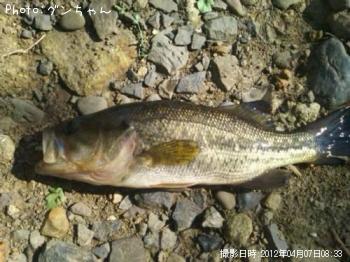 ¥Ö¥é¥Ã¥¯¥Ð¥¹