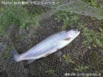 �쥤��ܡ��ȥ饦��