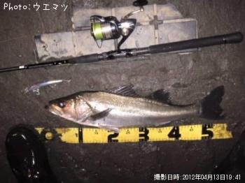 �����Х�